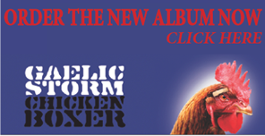 chicken boxer